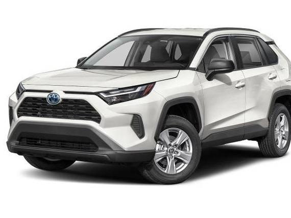 TOYOTA RAV4 2024 4T3LWRFV4RU162774 image