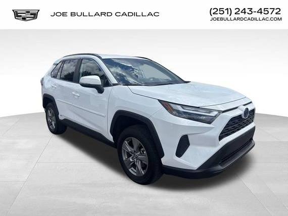 TOYOTA RAV4 2024 4T3MWRFV1RU146519 image