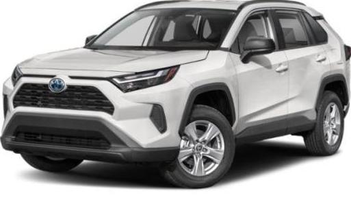 TOYOTA RAV4 2024 4T3MWRFV3RU141516 image
