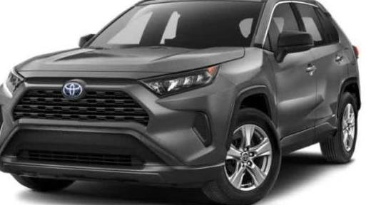 TOYOTA RAV4 2024 4T3LWRFV5RU122493 image