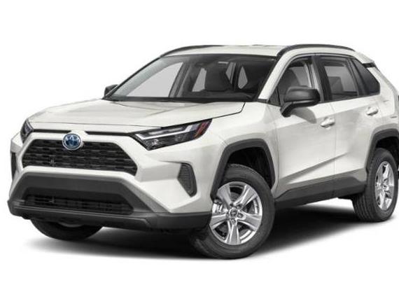 TOYOTA RAV4 2024 4T3LWRFV4RU142038 image