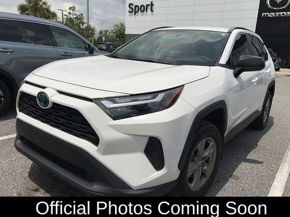 TOYOTA RAV4 2024 4T3LWRFV4RU120069 image