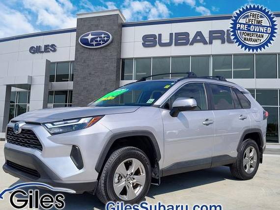 TOYOTA RAV4 2024 4T3RWRFV7RU151374 image