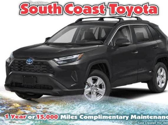 TOYOTA RAV4 2024 2T3B6RFV4RW048253 image