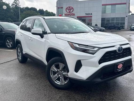 TOYOTA RAV4 2024 2T3RWRFV8RW211081 image