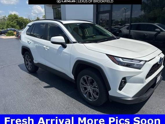 TOYOTA RAV4 2024 JTMB6RFV2RD554354 image