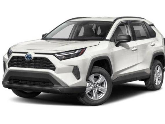 TOYOTA RAV4 2024 4T3LWRFV6RU113706 image