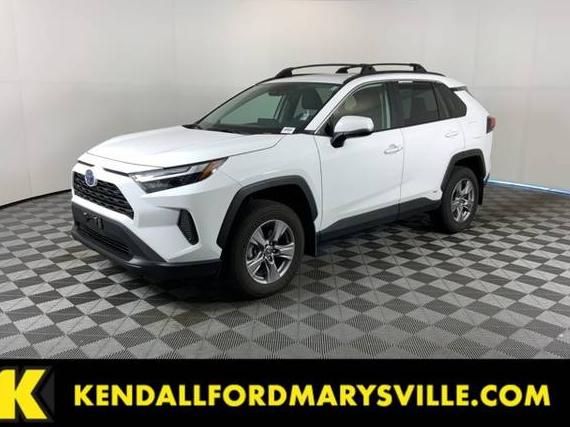 TOYOTA RAV4 2024 2T3RWRFV7RW236151 image