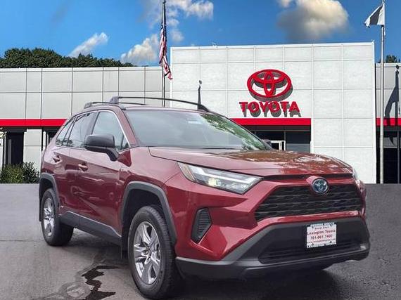 TOYOTA RAV4 2024 2T3LWRFV0RW220699 image