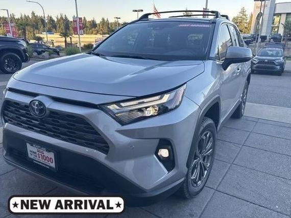 TOYOTA RAV4 2022 4T3D6RFVXNU078800 image