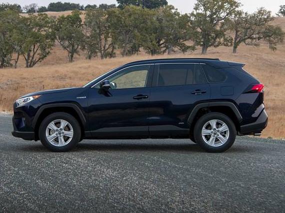 TOYOTA RAV4 2022 4T3MWRFV8NU052728 image