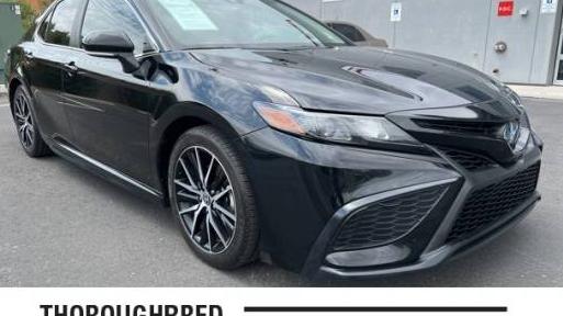 TOYOTA CAMRY 2023 4T1G31AK0PU604089 image