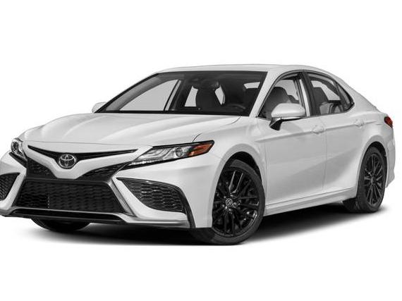 TOYOTA CAMRY 2023 4T1G11AK6PU801709 image