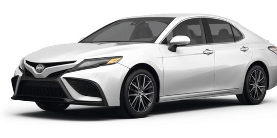 TOYOTA CAMRY 2023 4T1G11AK6PU748302 image