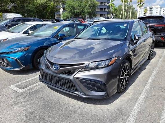 TOYOTA CAMRY 2023 4T1G31AK4PU602880 image