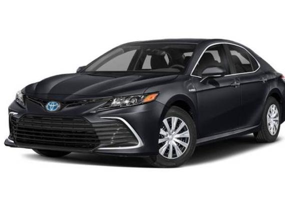 TOYOTA CAMRY 2023 4T1S11AK8PU105542 image