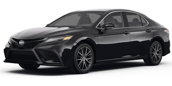 TOYOTA CAMRY 2023 4T1G11AK3PU775506 image