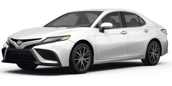 TOYOTA CAMRY 2023 4T1G11AK0PU736775 image