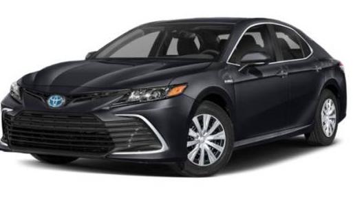 TOYOTA CAMRY 2023 4T1G31AK7PU607166 image