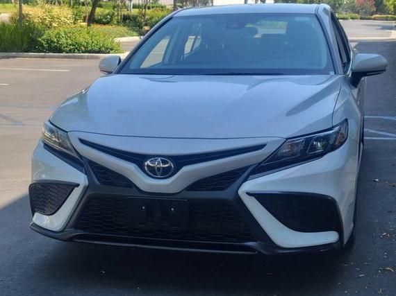TOYOTA CAMRY 2023 4T1G11AK7PU184403 image