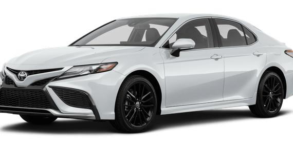 TOYOTA CAMRY 2023 4T1G11AK8PU095844 image