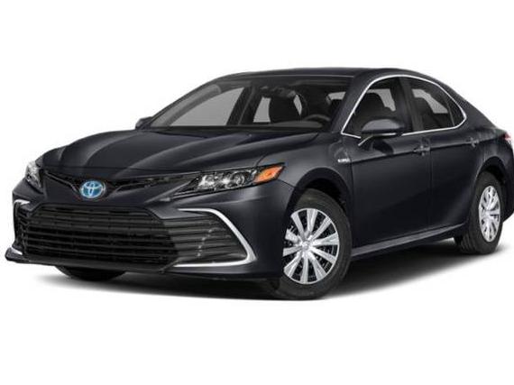 TOYOTA CAMRY 2023 4T1C31AK1PU051161 image