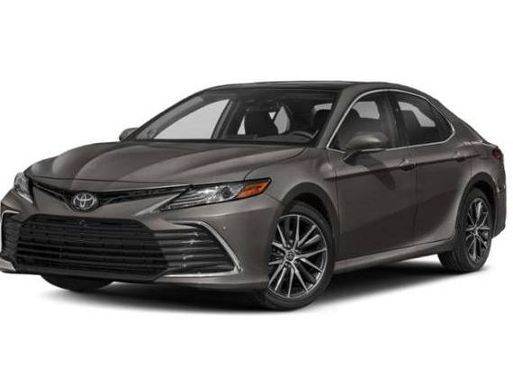 TOYOTA CAMRY 2023 4T1F11BK8PU075023 image