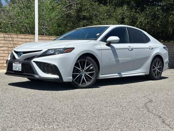 TOYOTA CAMRY 2023 4T1G31AK3PU048621 image