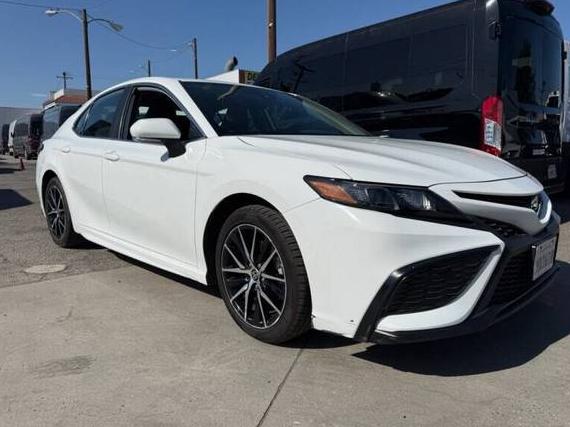 TOYOTA CAMRY 2023 4T1G11AK5PU732558 image