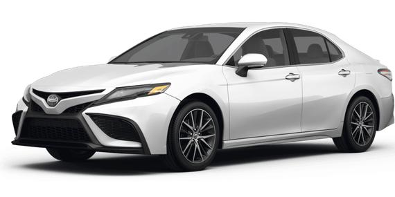 TOYOTA CAMRY 2023 4T1G11AK9PU738024 image