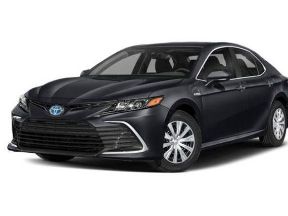 TOYOTA CAMRY 2023 4T1G31AK7PU058763 image