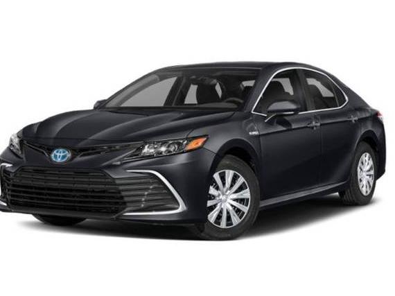 TOYOTA CAMRY 2023 4T1S31AK7PU609316 image
