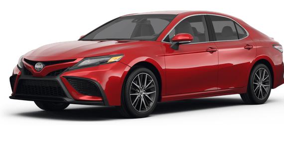 TOYOTA CAMRY 2023 4T1G11AK9PU187125 image