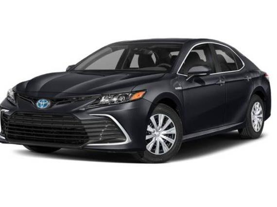 TOYOTA CAMRY 2023 4T1G11AK6PU175207 image