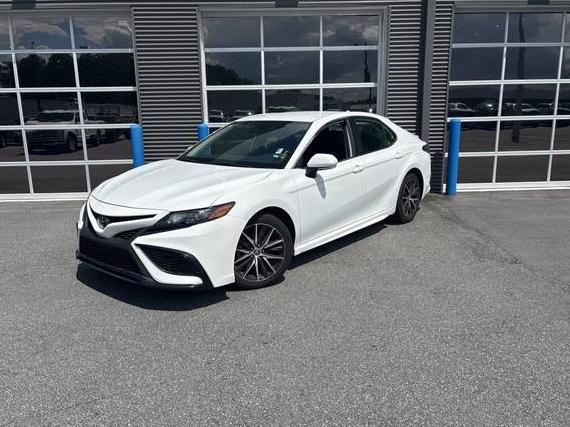 TOYOTA CAMRY 2023 4T1G11AK0PU784261 image