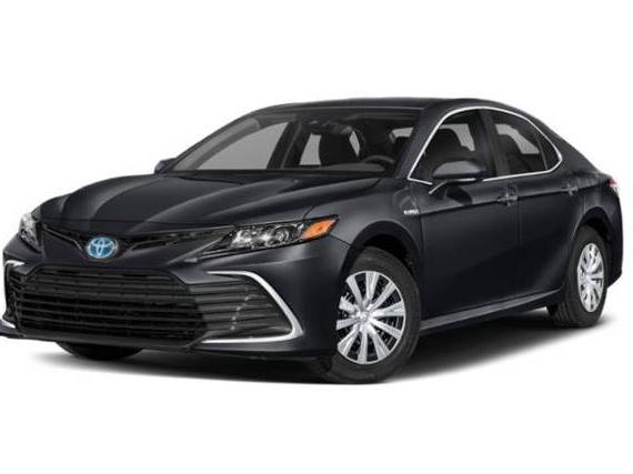 TOYOTA CAMRY 2023 4T1G11AK1PU786455 image