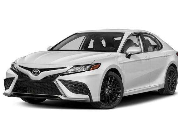 TOYOTA CAMRY 2023 4T1G11AK0PU757884 image