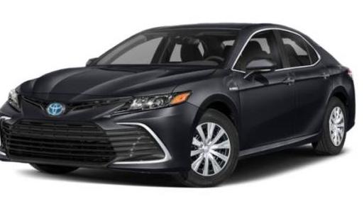 TOYOTA CAMRY 2023 4T1G11AK8PU798568 image