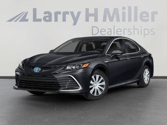 TOYOTA CAMRY 2023 4T1G11AK8PU808435 image