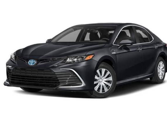 TOYOTA CAMRY 2023 4T1S31AK7PU602849 image