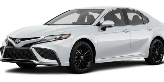 TOYOTA CAMRY 2023 4T1G11AK1PU167466 image