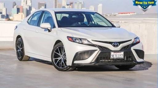 TOYOTA CAMRY 2023 4T1G11AK8PU126445 image