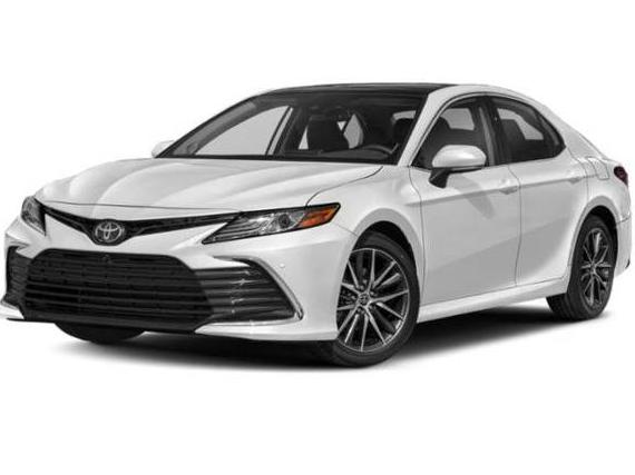 TOYOTA CAMRY 2023 4T1F11AK9PU163452 image