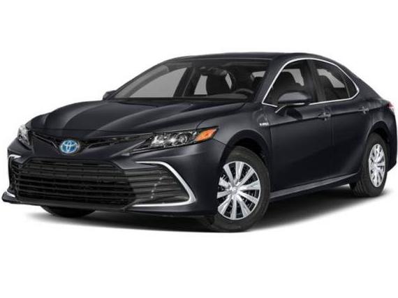 TOYOTA CAMRY 2023 4T1G11AK8PU803820 image