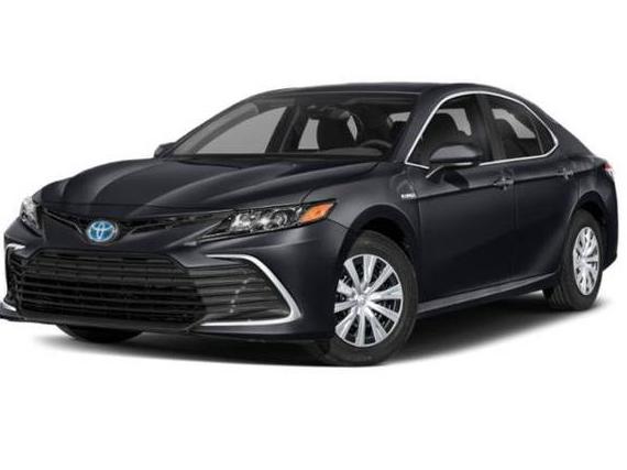 TOYOTA CAMRY 2023 4T1G11AK2PU136839 image