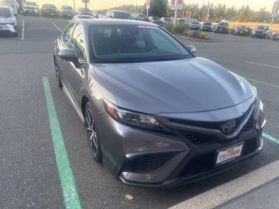 TOYOTA CAMRY 2023 4T1S31AK4PU602940 image