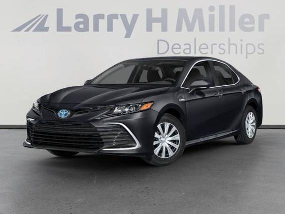TOYOTA CAMRY 2023 4T1G11AK1PU765749 image