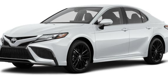 TOYOTA CAMRY 2023 4T1G11AK8PU085685 image