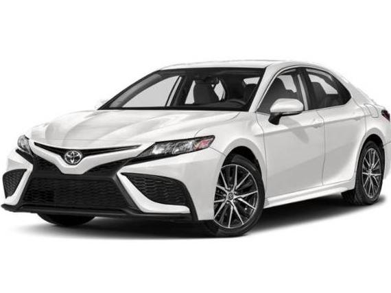 TOYOTA CAMRY 2023 4T1G11AK8PU741819 image