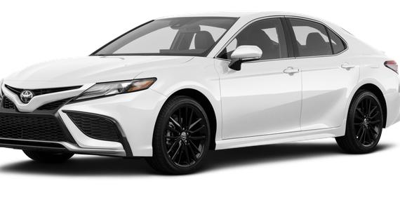 TOYOTA CAMRY 2023 4T1G11AK4PU118097 image TOYOTA CAMRY 2023 4T1G11AK4PU118097 image